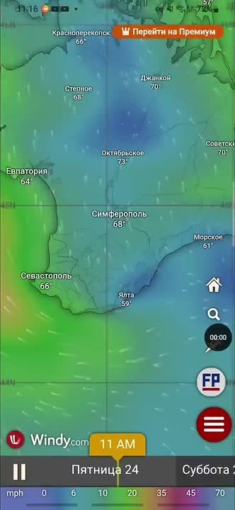 Синоптики обещают дожди на выходные