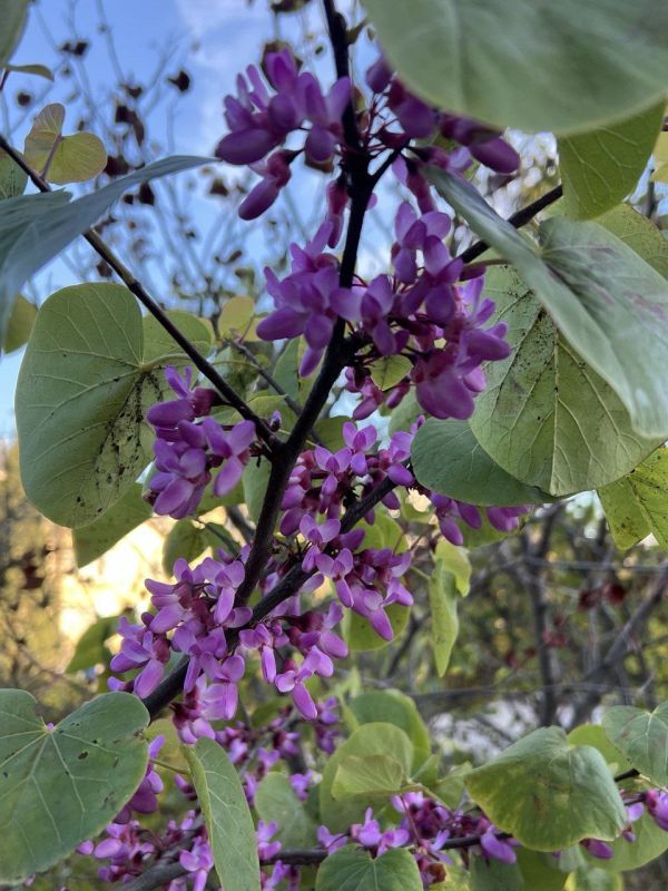 ��� ��� ������?. ��� ����������� � ������, �������� ��� ������ ����� � ��������, ��� ������ ������ ���������� �� �����