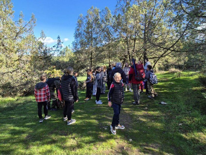 ��������� ��� � ��������� ����������� ����������� � �����