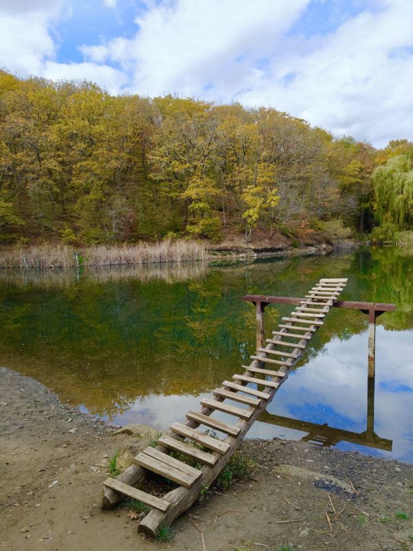 ������� ����������� ����, ������!