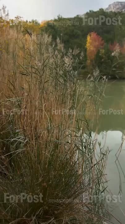 ����� �������� ����� �� ����� ������ ����-���