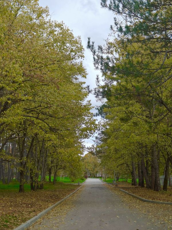 ������� ����������� ����, ������!