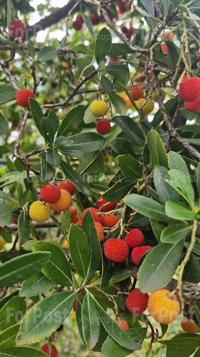 �� ���������� �������� � ��������� ����: ����������� ������ ������������ ����� � ����������