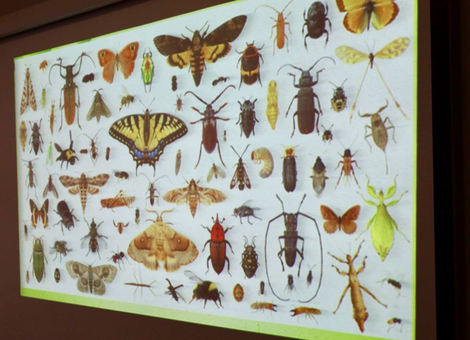 16 �������� ������ ��������� � ��������� �������� ����� ������������� ������� ��������һ �� ���� ���������� ��������������� ����������� ������� �������-������������������ ���������� �������� �������