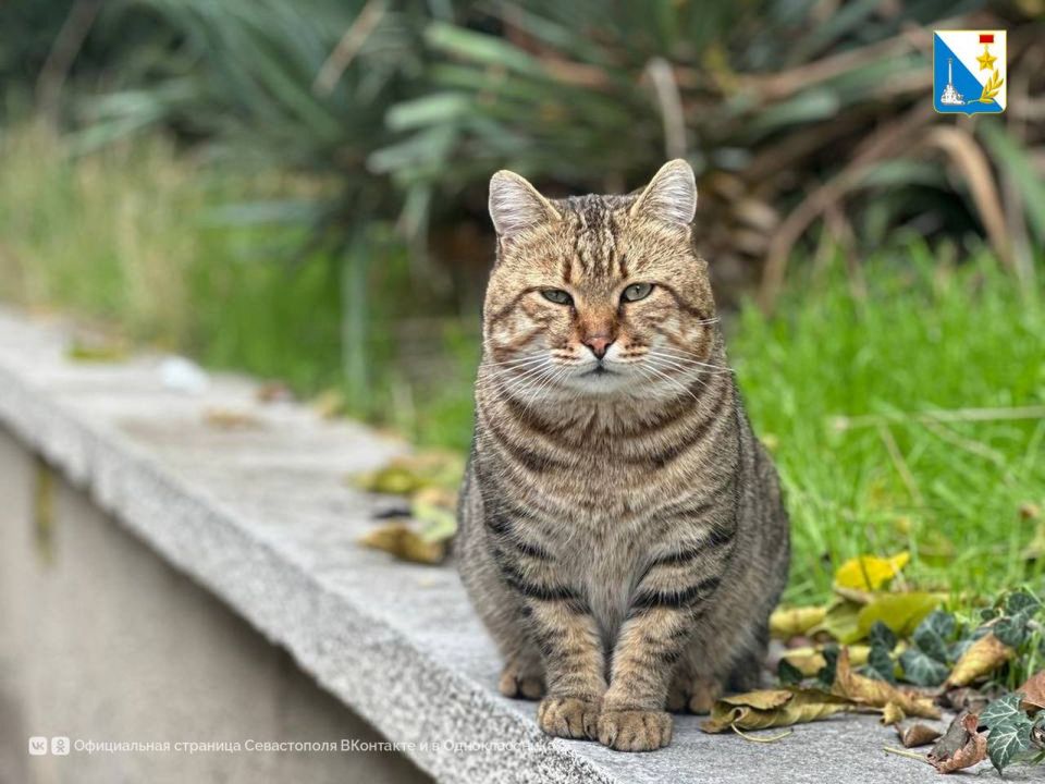 ���������� ����������. 25 ������� ���������� ������� �������� ���������� ���������� ����� � ����� ������ ��������� � ������������ ������