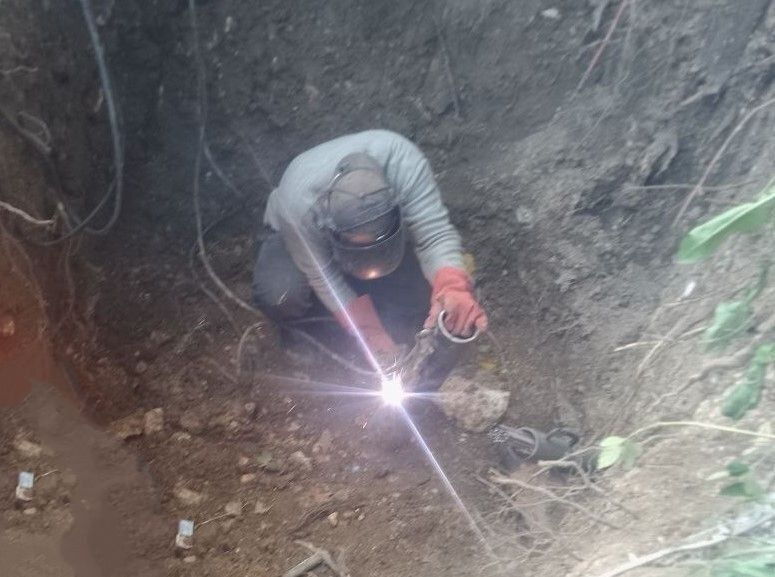 ���������: ���������� ������ �����������