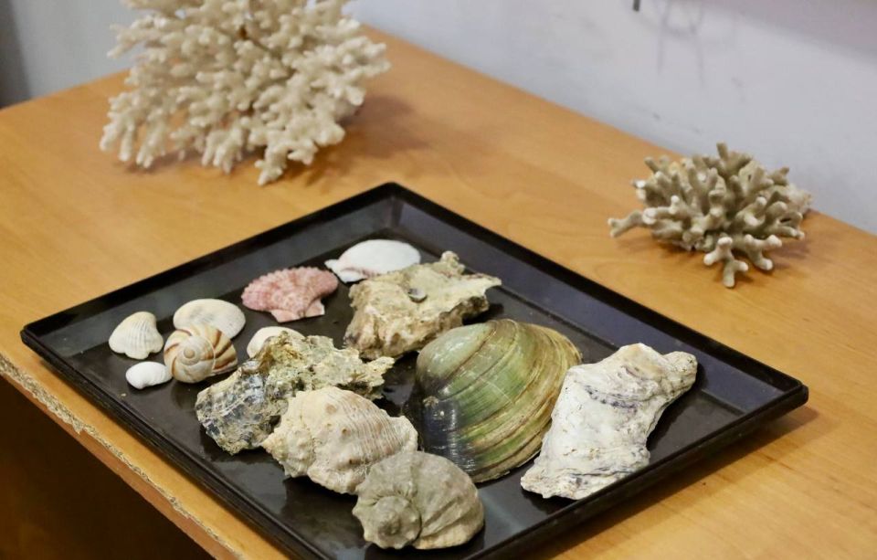 16 �������� ������ ��������� � ��������� �������� ����� ������������� ������� ��������һ �� ���� ���������� ��������������� ����������� ������� �������-������������������ ���������� �������� �������