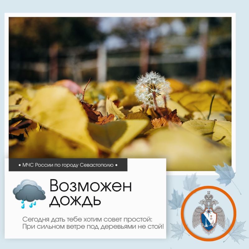 ������ ����, �����������!. �� ������ ��������������, 27 ������� � ����������� ����� �������