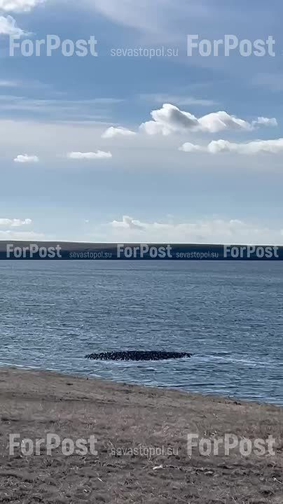 � ����� ��������� ����� ��������� ���� �� ��������