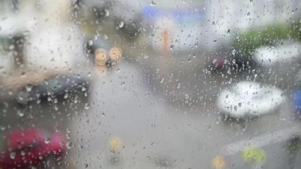 ������� ������ � ����� �� �����������