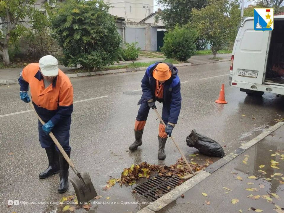 �� ����� ��������, � ��� ������, ��� ���������� ����������� �������� � ��������� ������, ����� �������� �� ����� ������