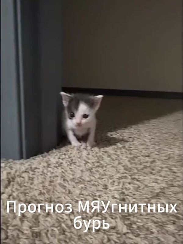 ������ ��������� ����: ��������� � �������� � 27 ������� �� 2 ������