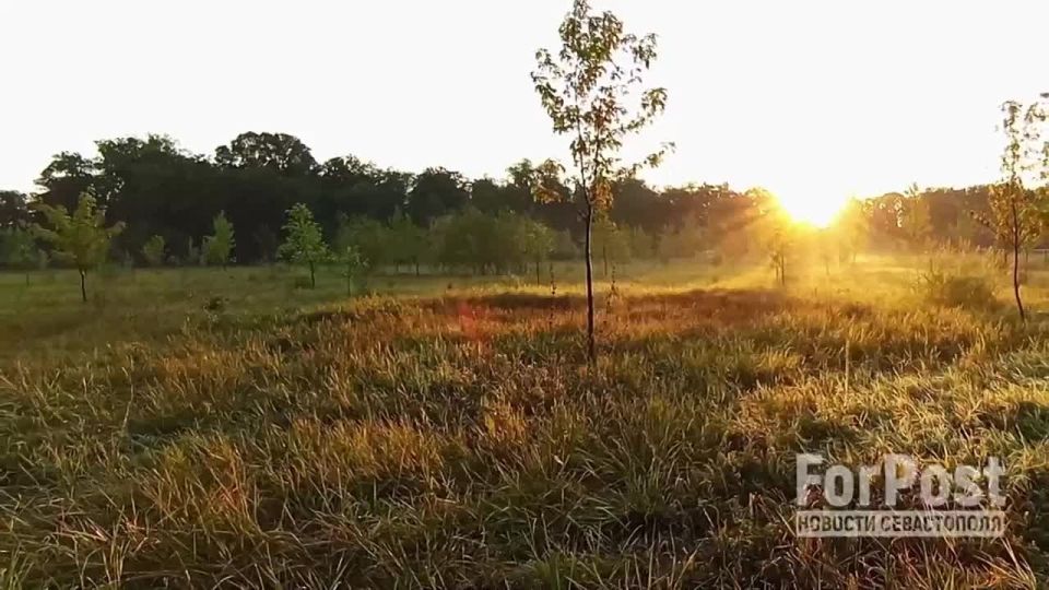 ���������� ���������� ��������� � ���� ����� @FP_infobot ��������� (�������, ����!), � �� �������� � ��� ��������� ��������������� ��������� ������������� "������� ����"