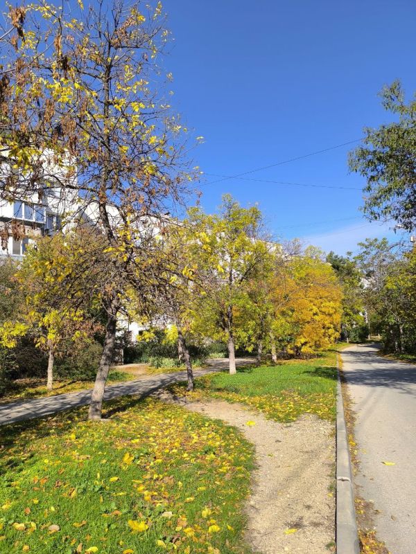 ������� ����, �����������!