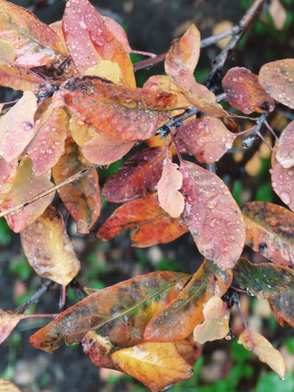 ���� ����� � ��������� ����������!