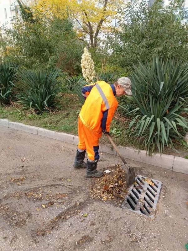 ���������: ����� ���������� - ������ ������������!