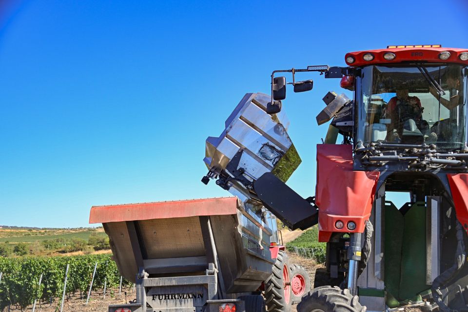 ������ ���������: � ����������� ����������� �������� ���� ���������