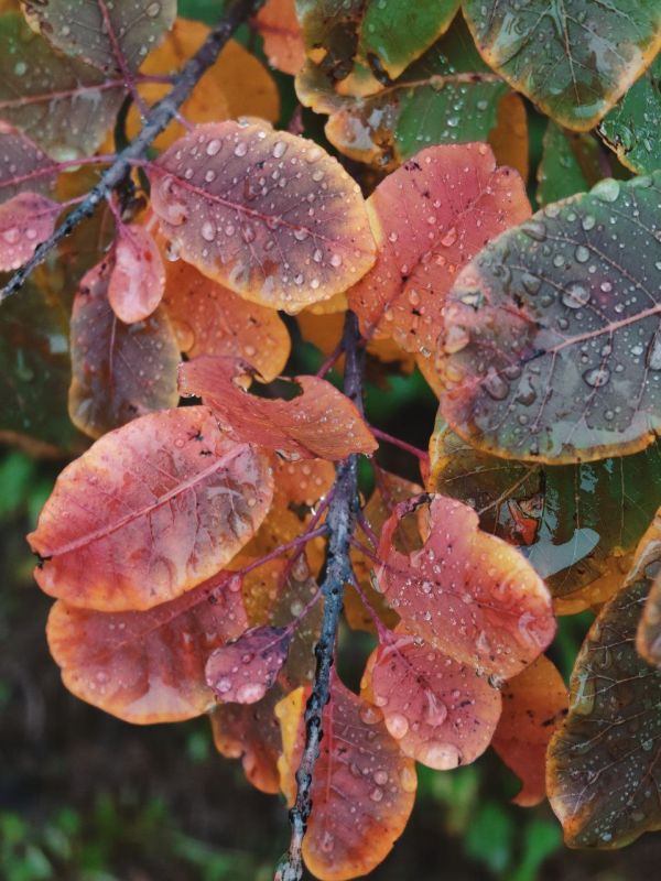 ���� ����� � ��������� ����������!