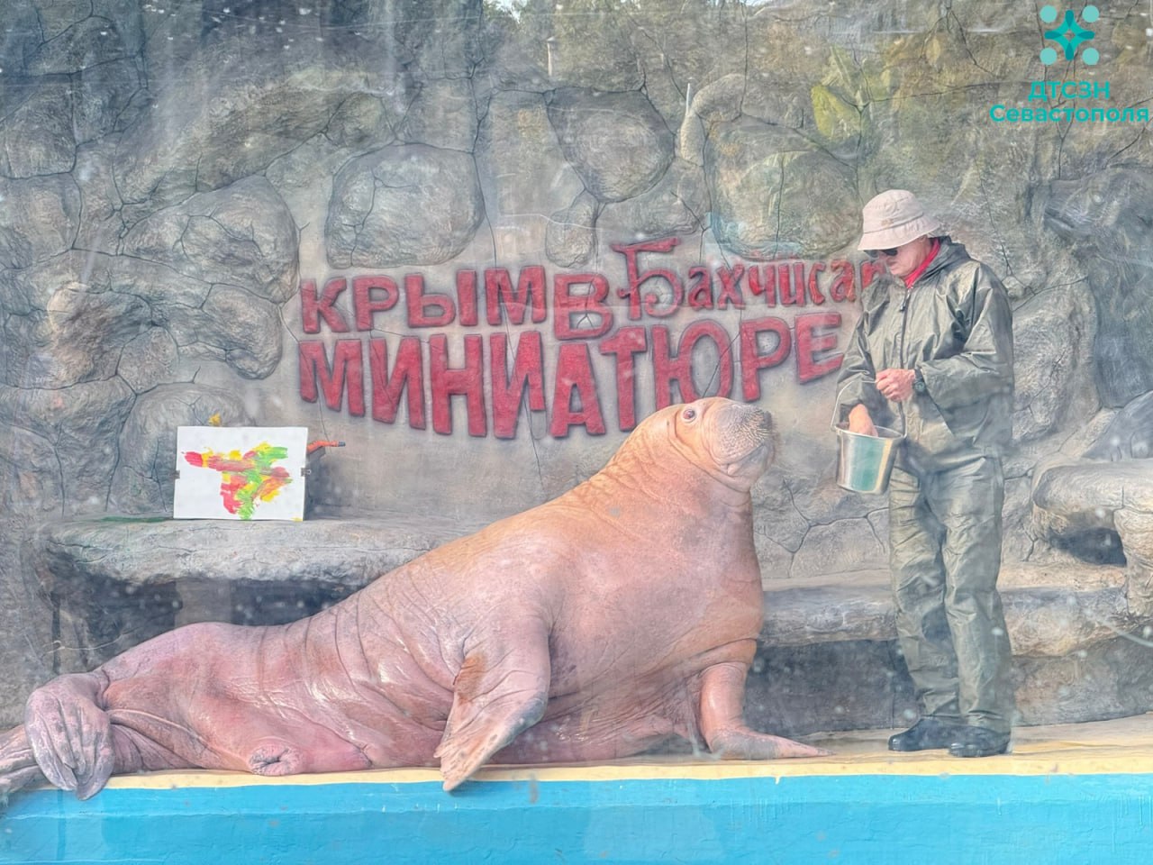 В Севастополе продолжаются выездные мероприятия для подопечных дома-интерната В Севастополе продолжаются выездные мероприятия для подопечных дома-интерната