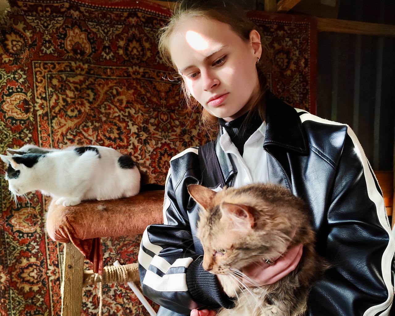 Акция «Корм в кошачий дом» Акция «Корм в кошачий дом»