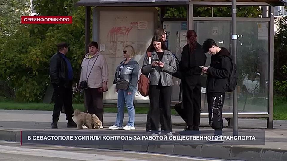 Опять не пришёл автобус?. Каждое утро на остановке «Улица Бориса Михайлова» собираются десятки местных жителей