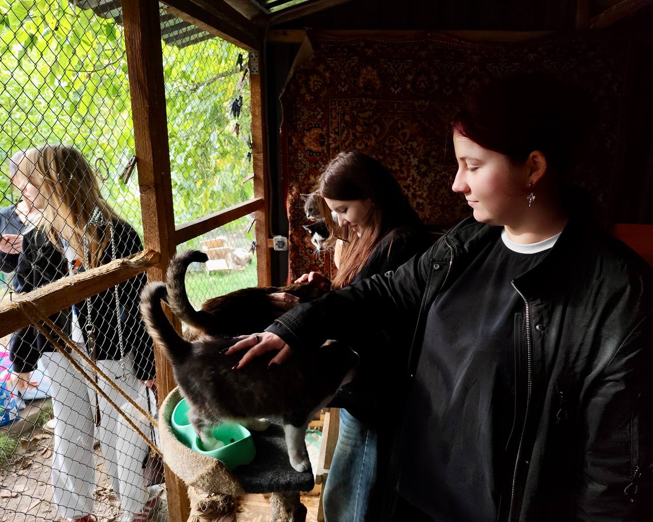 Акция «Корм в кошачий дом»