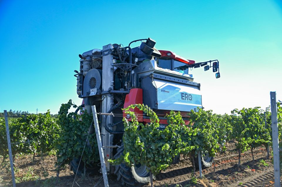 ������ ���������: � ����������� ����������� �������� ���� ���������