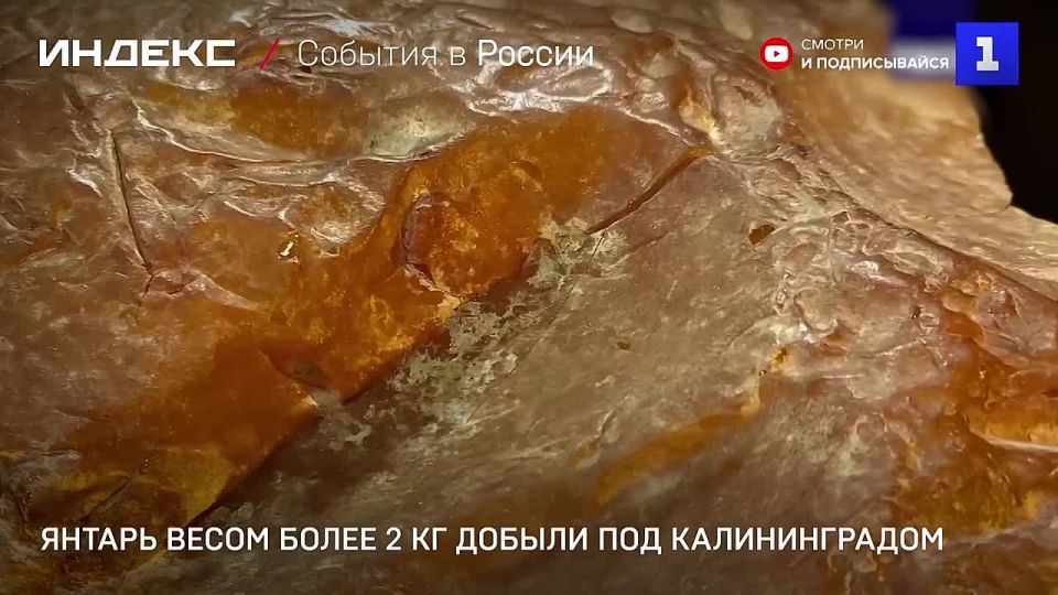 ������ ����� ����� 2 �� ������ ��� �������������