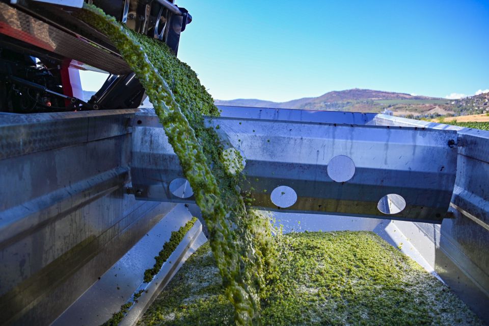 ������ ���������: � ����������� ����������� �������� ���� ���������