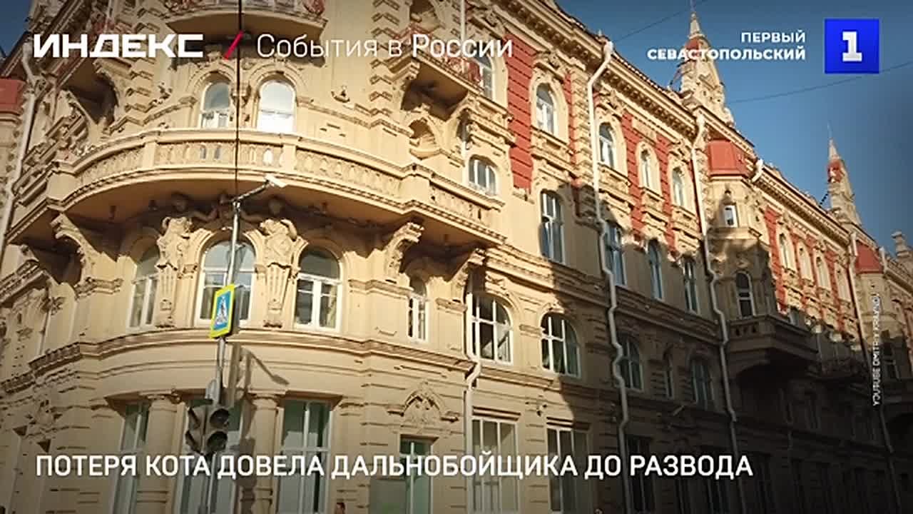 Потеря кота Бусика довела дальнобойщика до развода