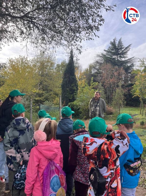 ��� ���� �������������� �������� ����� ��������������