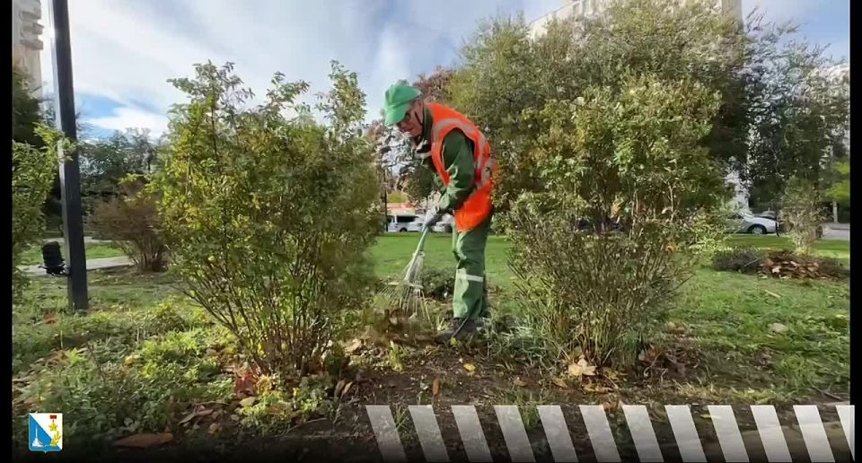 Ухаживаем за зелеными территориями