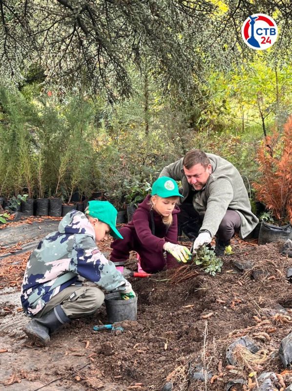 ��� ���� �������������� �������� ����� ��������������