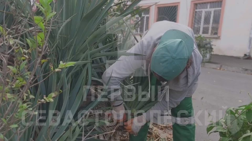 �� ����� ��������� ����������� ��� ������ � ������� ����� �������� ������ �� ����� �� ����������