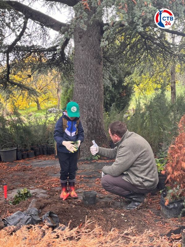 ��� ���� �������������� �������� ����� ��������������