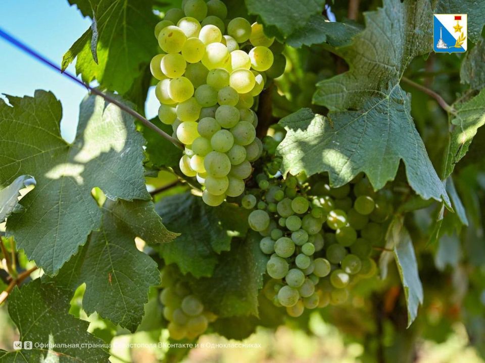 ��������� �������� ���� ���������