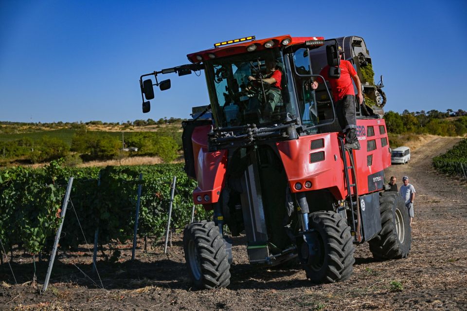 � ����������� ������� 20 ����� ���� ���������