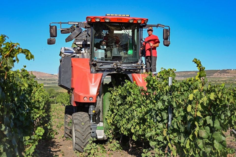 ���� ��������� ��� ������� ������: � ����������� ������������� ���� ���������