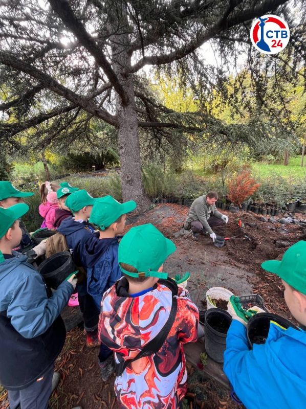 ��� ���� �������������� �������� ����� ��������������