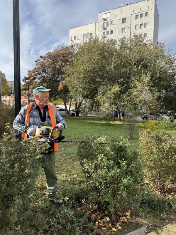 Сегодня специалисты ГБУ «Парки и скверы» провели уходовые работы за зелёными насаждениями в сквере имени Астана Кесаева Сегодня специалисты ГБУ «Парки и скверы» провели уходовые работы за зелёными насаждениями в сквере имени Астана Кесаева