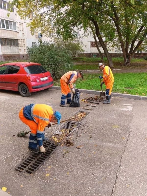 ���������: ����� ���������� - ������ ������������!