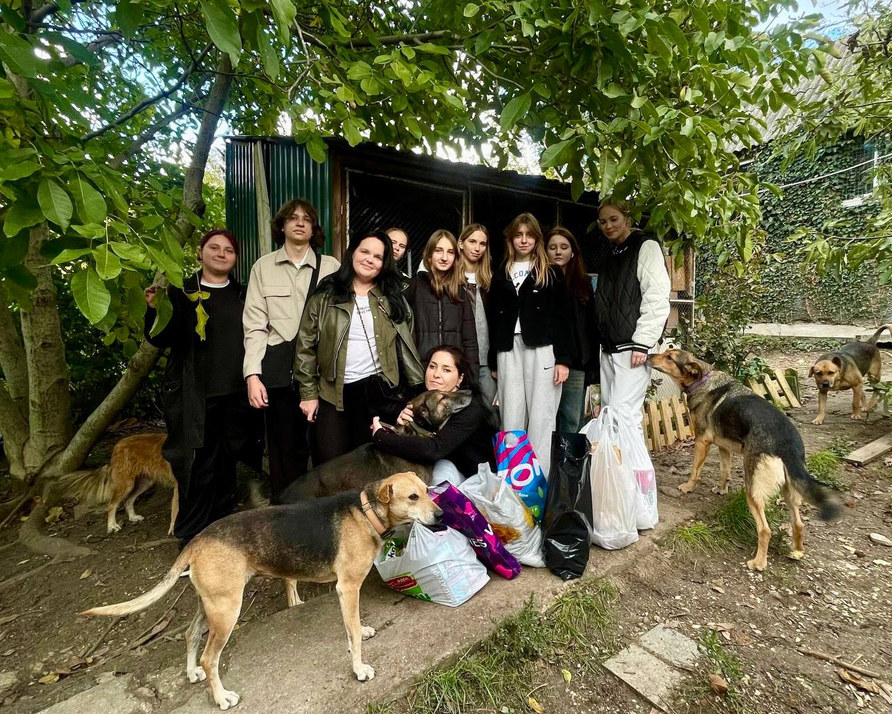 Акция «Корм в кошачий дом» Акция «Корм в кошачий дом»