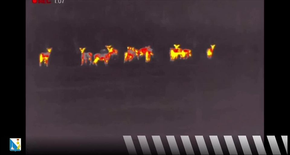 ����� ������ �� ����� �������� ������� ����������������