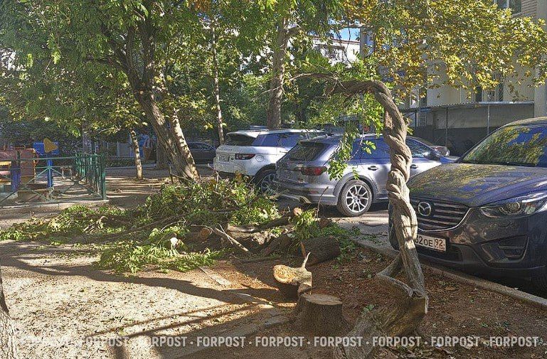 ������ ����������� �������� ������� ��������� �������� �� ��. �������� ���������