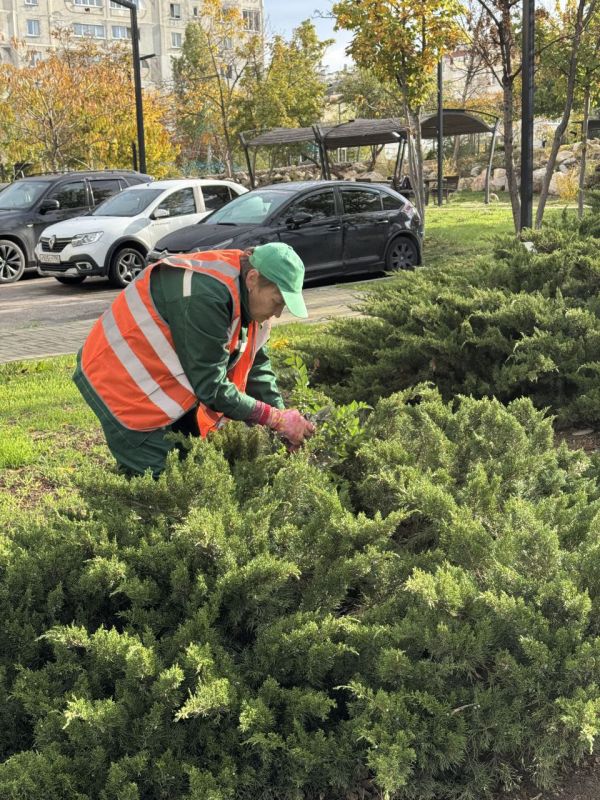 ������� ����������� ��� ������ � ������� ������� �������� ������ �� ������� ������������ � ������ ����� ������ �������