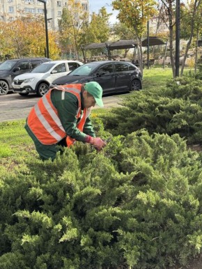 Сегодня специалисты ГБУ «Парки и скверы» провели уходовые работы за зелёными насаждениями в сквере имени Астана Кесаева