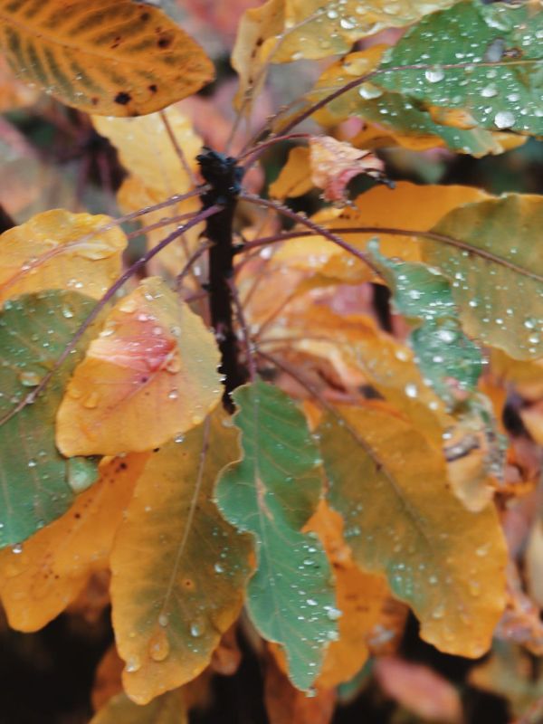 ���� ����� � ��������� ����������!