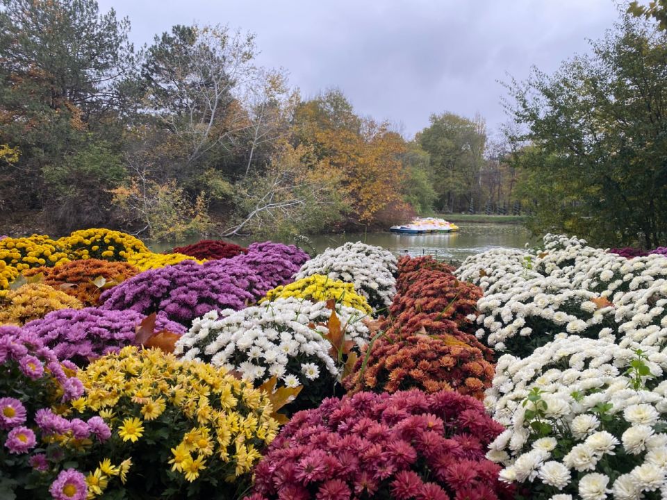 ������� ������ � ����� �� 28 �������