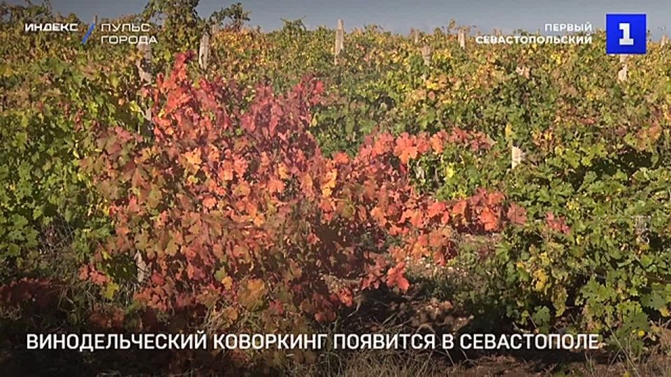 � ����������� ������� ������ �������������� ���������