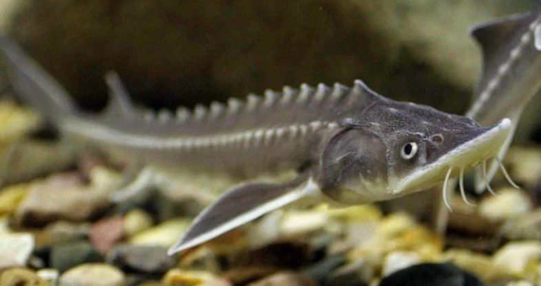 � �������� ���� ����� ��������� ������������ ����� �������